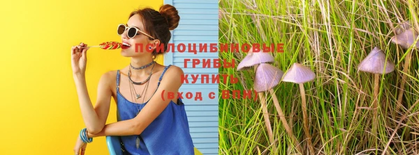 гидропоника Вязники