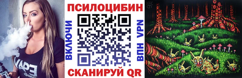 как найти   Электросталь  Псилоцибиновые грибы прущие грибы 